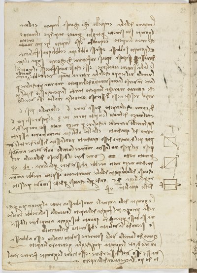 Codice sul volo degli uccelli, c. 1505-06, manoscritto su carta, cc. 18, foglio 14 verso da Leonardo da Vinci